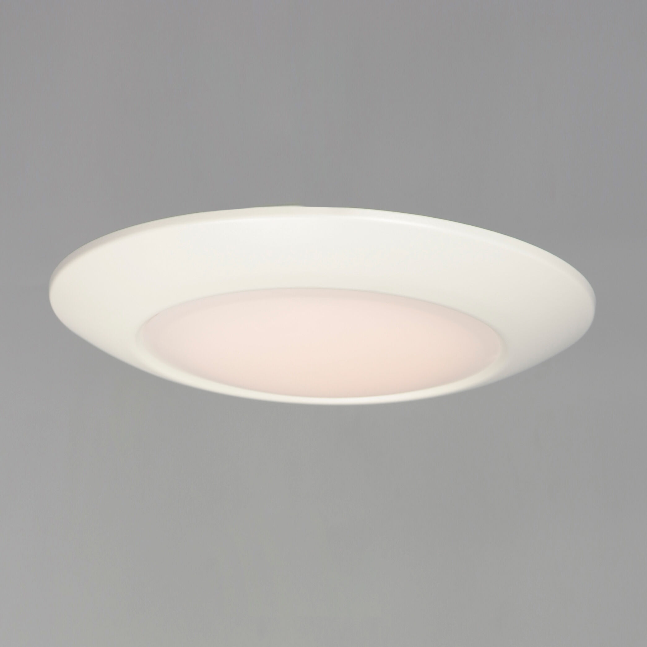 Diverse LED LED 11 inch White Flush Mount Ceiling Light