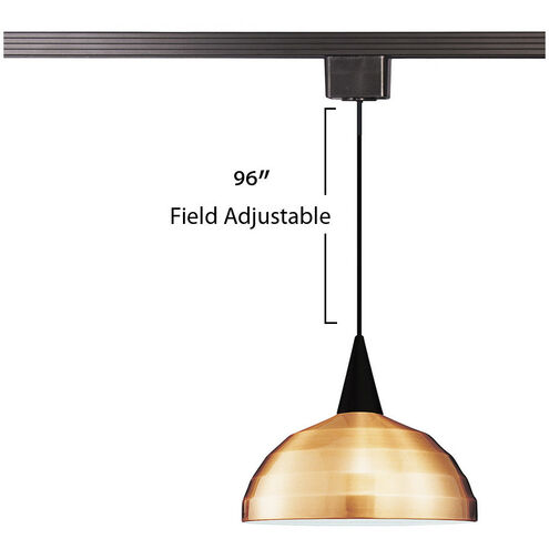Cosmopolitan 1 Light 12 inch Black Pendant Ceiling Light in 100, Copper, J Track