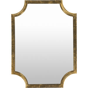 Joslyn 40 X 29.75 inch Gold Mirror, Large