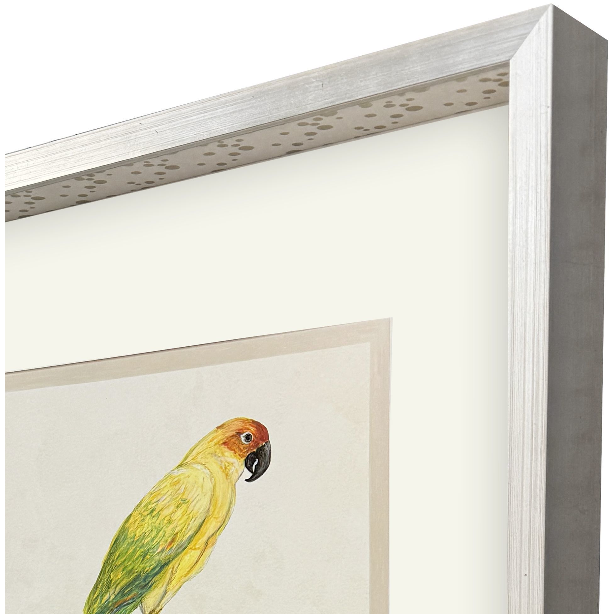 Treasure Parrot Blue and Green and Multi and Yellow Framed Art