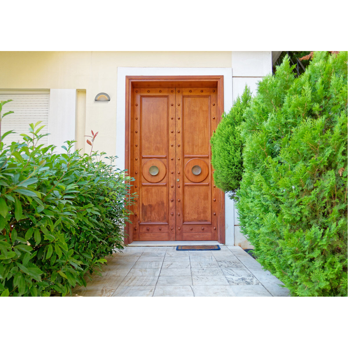 Raine Outdoor Wall Light in Silver