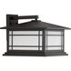 Oakcliff Outdoor Wall Lantern, Medium