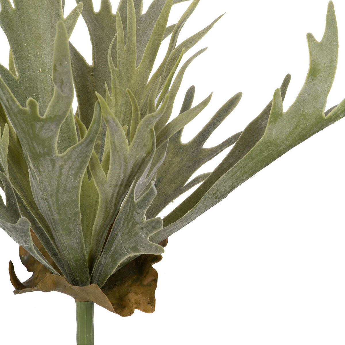 Faux Mature Reindeer Grass Light Green Floral DTcor