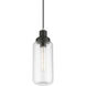 Oakhurst 1 Light 5 inch Black with Brushed Nickel Accent Mini Pendant Ceiling Light