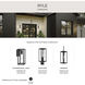 Ryle 1 Light 20 inch Matte Black Outdoor Wall Lantern