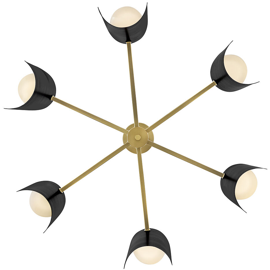 Zuri 6 Light 30 inch Lacquered Brass with Black Chandelier Ceiling Light