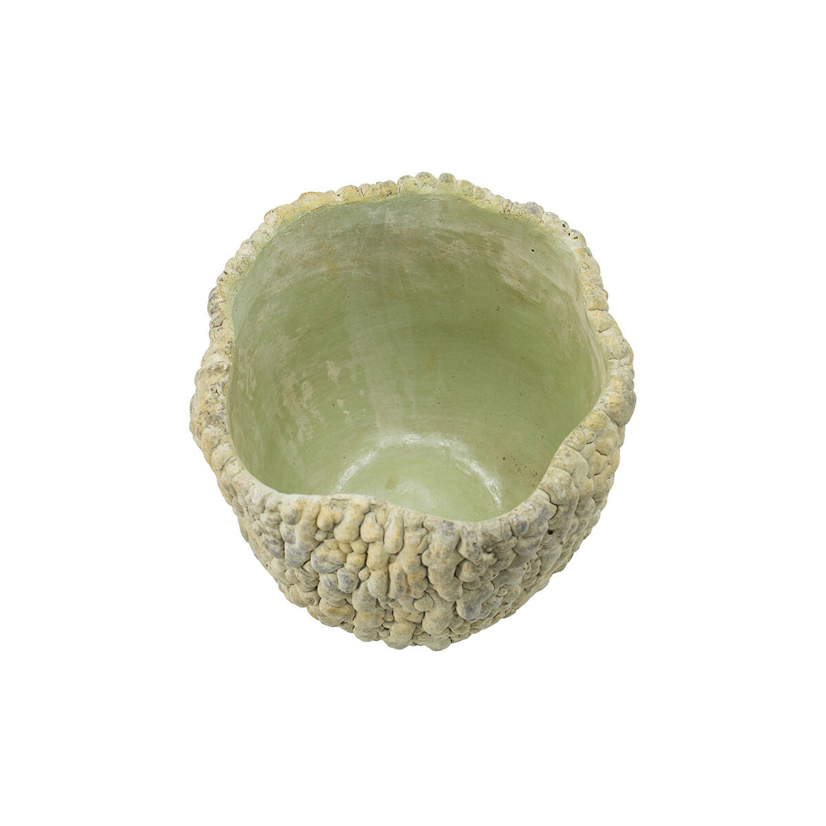 Bitter Gourd Light Green Outdoor Planter
