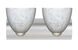Sasha Ii 2 Light 15 inch Satin Nickel Vanity Lighting Wall Light in Incandescent, Carrera Glass