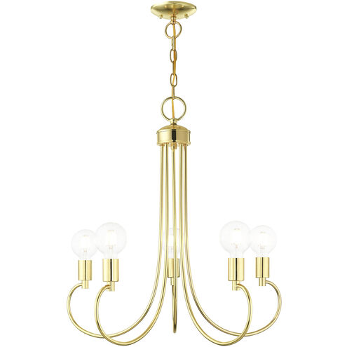 Bari 5 Light 25 inch Polished Brass Chandelier Ceiling Light