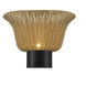 Alora Mood Rancho 1 Light 13.88 inch Matte Black Bath Vanity Light Wall Light