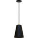Falla 1 Light 9.8 inch Black Waxed and Polished Brass Pendant Ceiling Light
