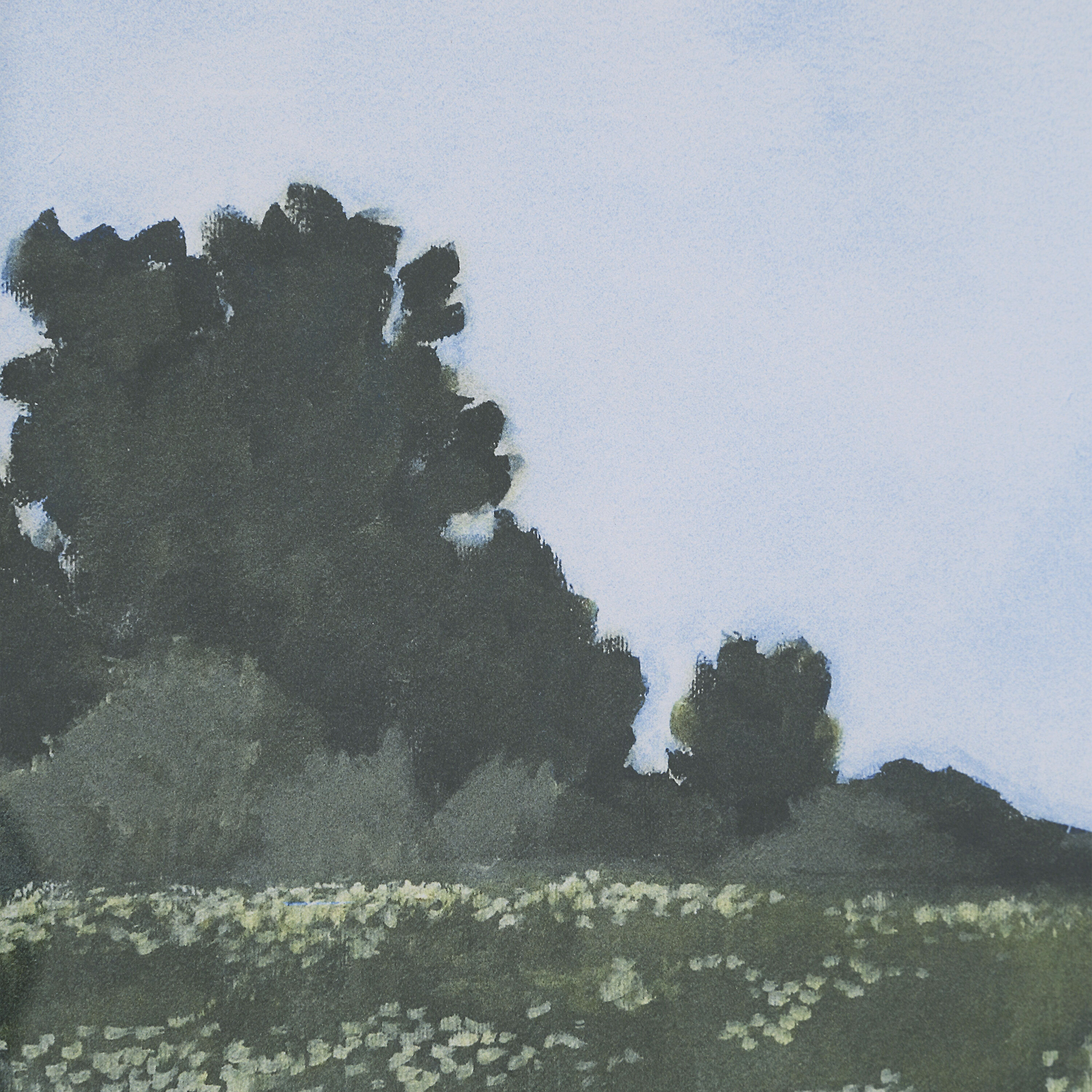 Olmo 14 X 14 inch Printed Art