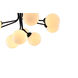 Canada 9 Light 24 inch Black Chandelier Ceiling Light