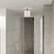 Blossom 1 Light 7 inch Antique Brass Semi-Flush Ceiling Light, Petite