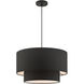 Bainbridge 3 Light 20 inch Black Pendant Ceiling Light