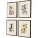 Florals Collection Multi Framed Art