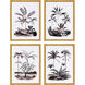 Exotic Terrain Black and Metallic Framed Art