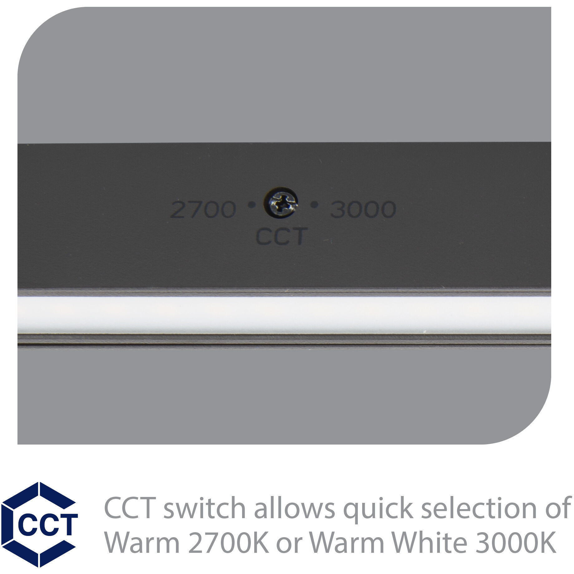 Tyler 12 7 watt Black Hardscape Lighting, WAC Landscape