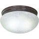 Brentwood 2 Light 12 inch Old Bronze Flush Mount Ceiling Light