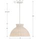 Reese 1 Light 16 inch Matte White Pendant Ceiling Light