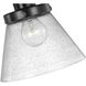Hinton 12 inch 60.00 watt Matte Black Swing Arm Wall Light 