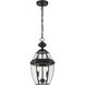 Westover 2 Light 10 inch Black Outdoor Chain Mount Ceiling Fixture