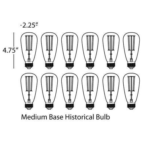Historical Edison 120V Bulb