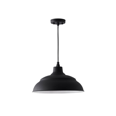 RLM 1 Light 17 inch Black Outdoor Hanging Lantern