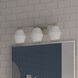 Copeland 3 Light 24 inch Brushed Nickel Vanity Light Wall Light