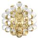 Mylo 2 Light 9.65 inch Gold and Clear Glass Wall Lamp Wall Light