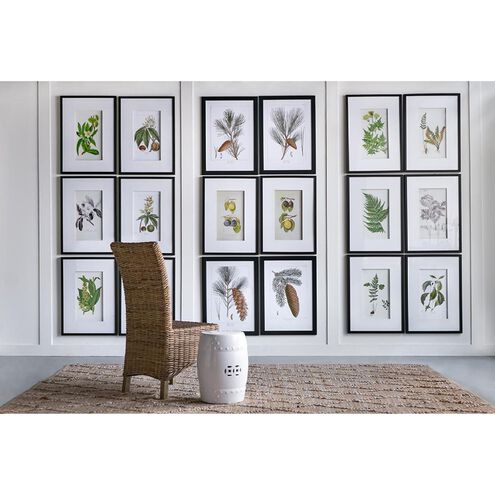 Smithsonian Black and Green/Yellow Wall Art, Assorted Fruit