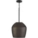 Della 1 Light 13.00 inch Pendant