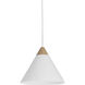 Daya LED 12 inch White Pendant Ceiling Light