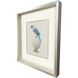 Treasure Parrot Blue and Green and Multi and Yellow Framed Art