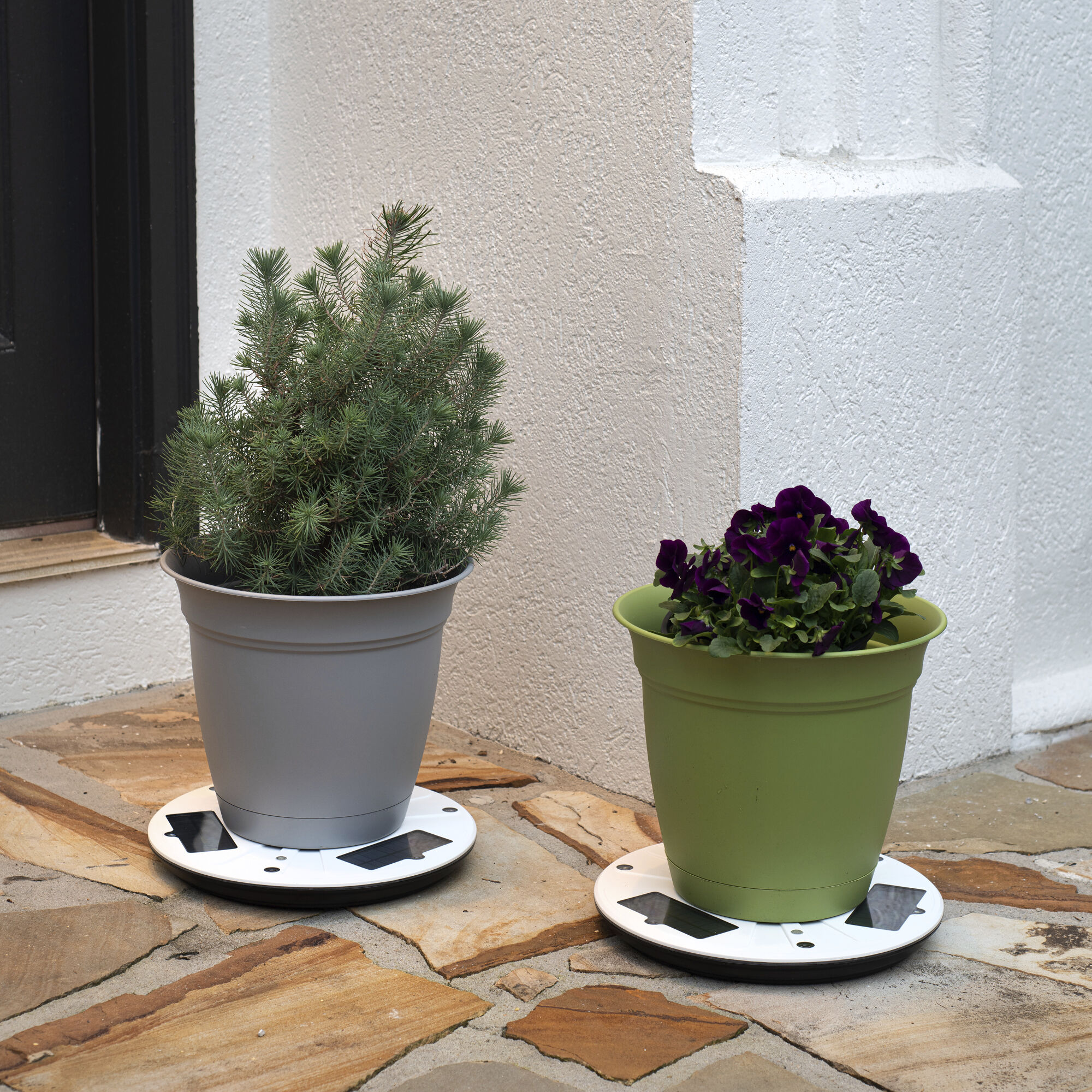 Christopher White Uplight Planter Light, Solar