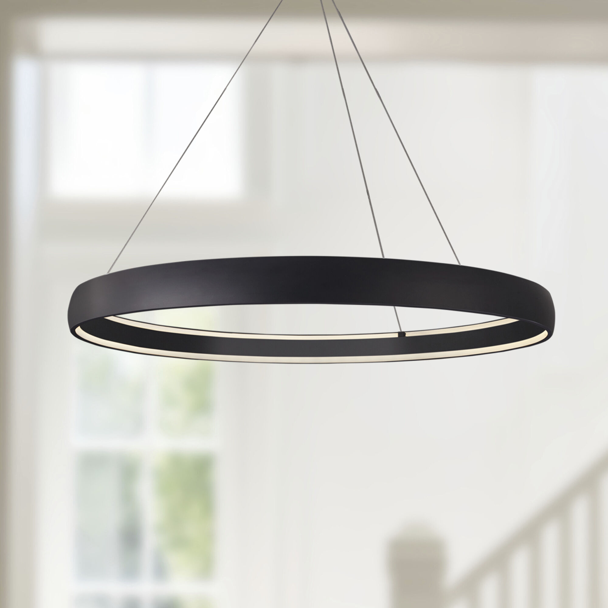 Halo Pendant Ceiling Light in Black