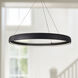 Halo Pendant Ceiling Light in Black