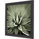 Green Succulent Green and Black and Neutral Framed Art