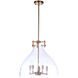Chardonnay 5 Light 20 inch Satin Brass Pendant Ceiling Light