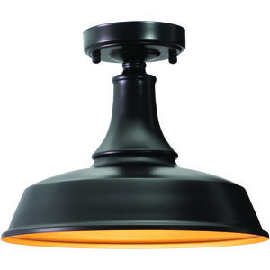 Dorado LED 12 inch Dark Bronze and Light Gold Outdoor Ceiling