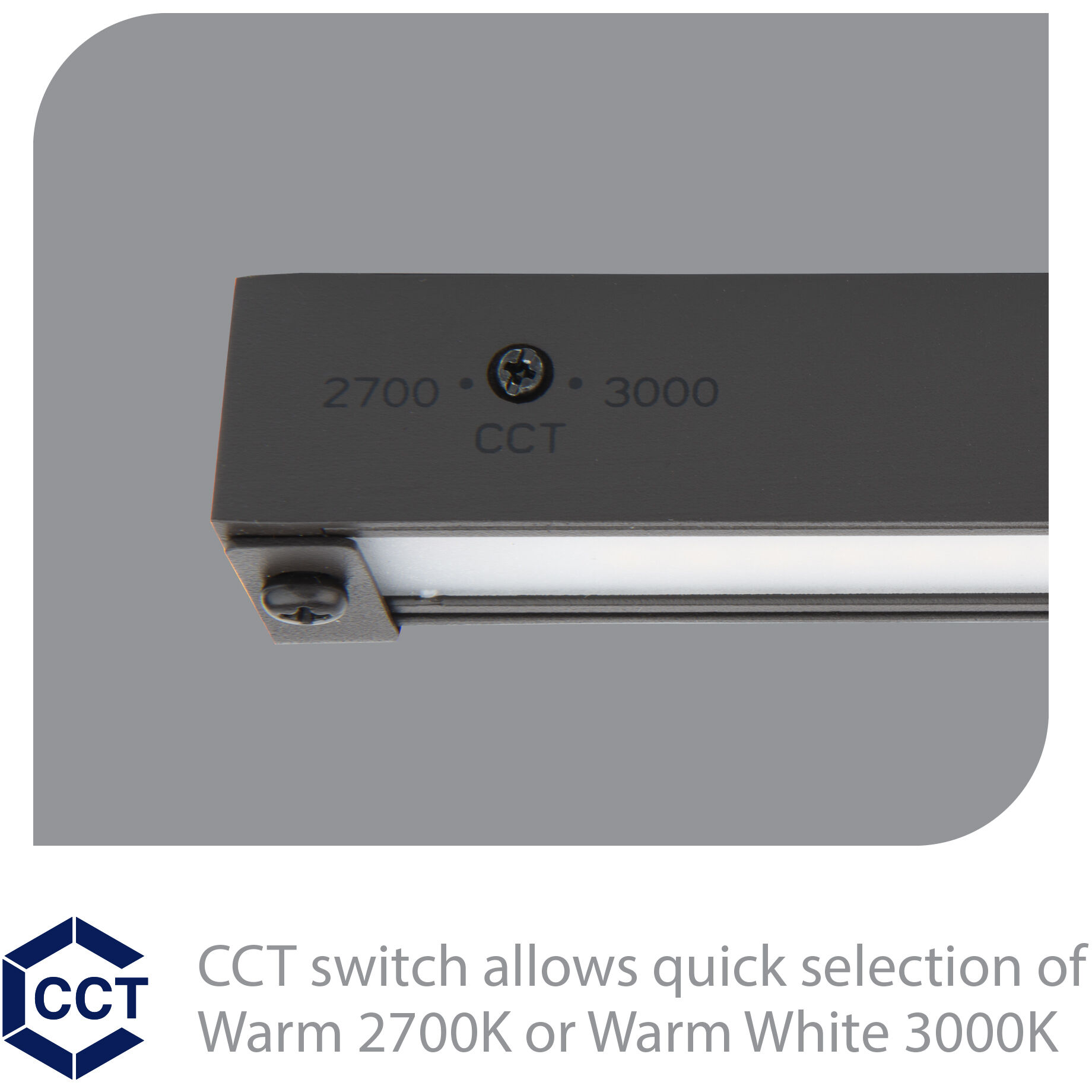 Tyler 12 4.5 watt Bronze Hardscape Lighting, WAC Landscape