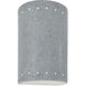Ambiance LED 9.5 inch Concrete Outdoor Wall Sconce in 1000 Lm LED