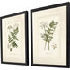 Queen's Lace Green and Neutral Framed Art, Propac