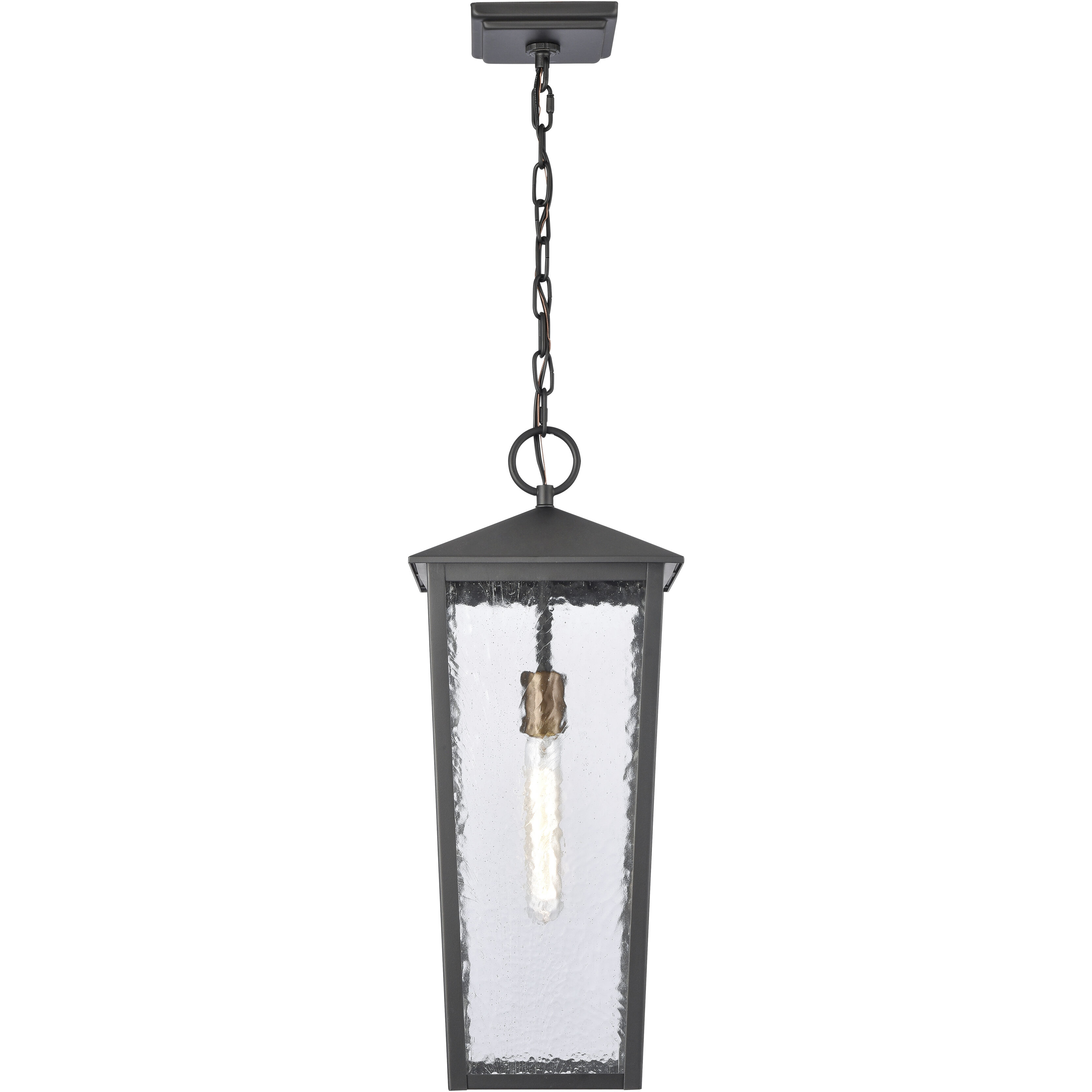 Marquis 1 Light 9 inch Matte Black with Chemical Oz and Clear Outdoor Pendant