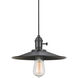 Signature 1 Light 10 inch Brushed Steel Pendant Set Ceiling Light