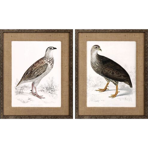 Animals Collection Dark Wood Molding With Antique Bronze Wash And Embossed Nail Head Pattern Framed Art