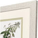 Tropical Botanical I Green and Pink and White Framed Art, Propac