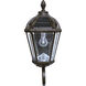 Royal LED 21 inch Weathered Bronze Outdoor Wall Sconce