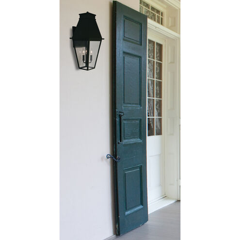 Raymond 1 Light 21.75 inch Verdigris Patina Outdoor Wall Mount in Clear Seedy