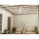 Tide 52 inch White Ceiling Fan
